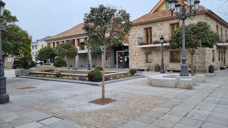 Ayuntamiento de Torrelodones - Ayuntamiento en Torrelodones - foto 2