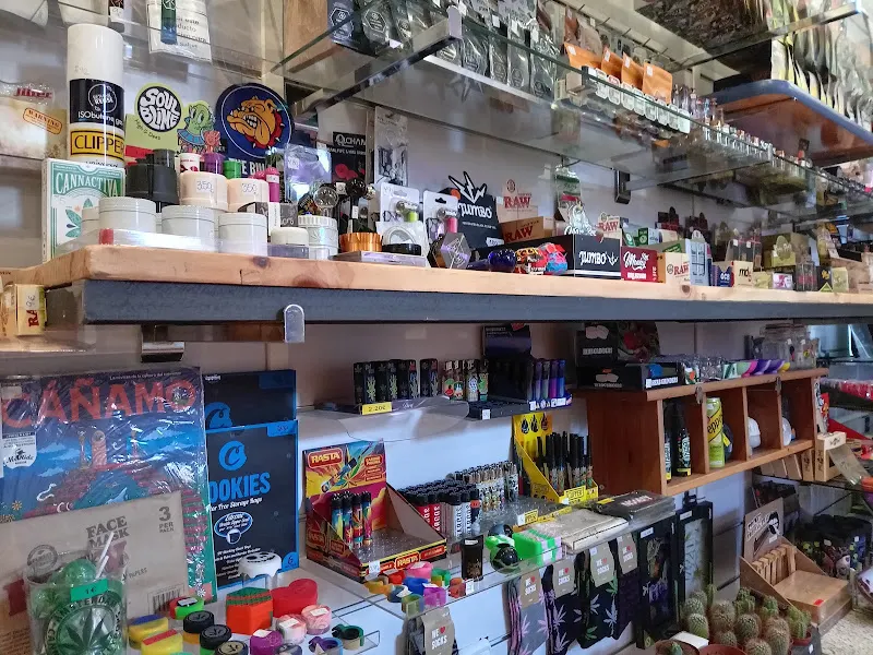 BOOKS & CBD SHOP SAN LORENZO DEL ESCORIAL