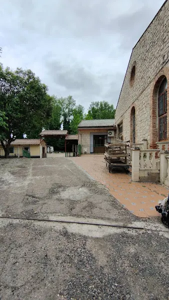 Isla Taray - Residencia geriátrica en Morata de Tajuna - foto 2