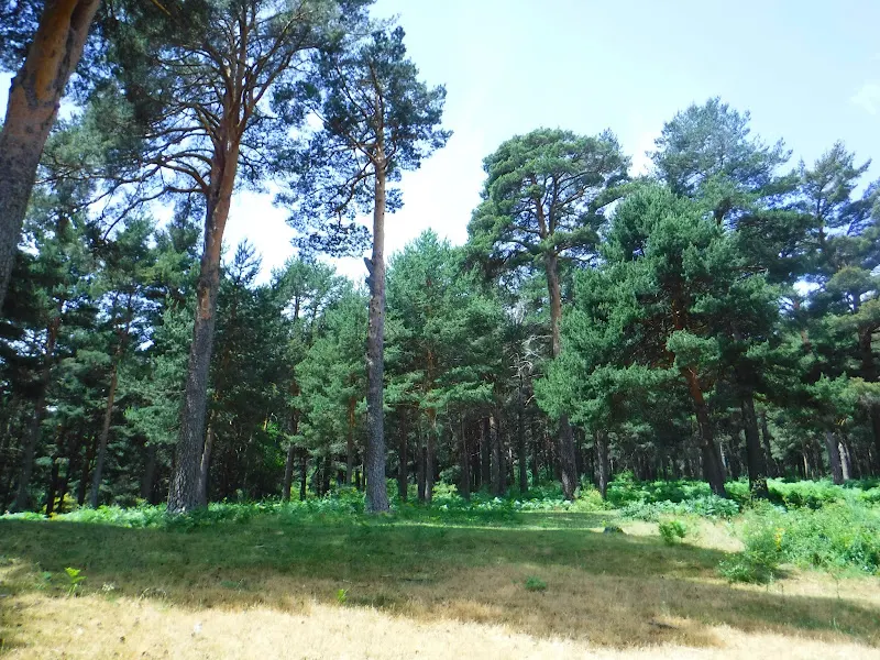 Dehesas de Cercedilla - Parque en Cercedilla - foto 2