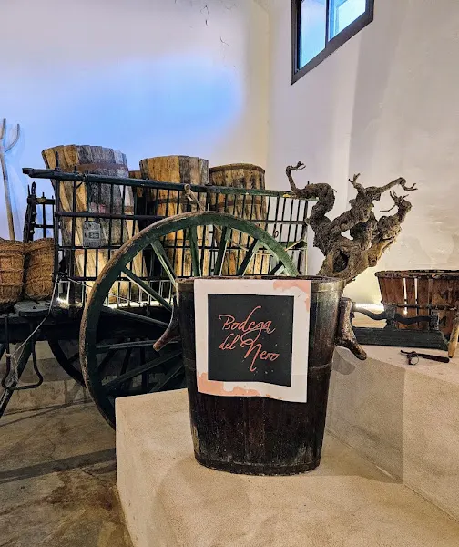Bodega del Nero - Bodega en Chinchon - foto 2