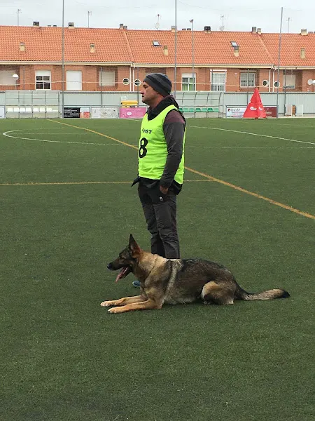 Campo De Futbol - Campo de fútbol en Campo Real - foto 2