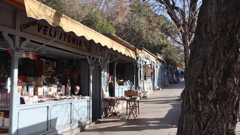 Cuesta de Moyano - Tienda de libros de segunda mano en Madrid - foto 3