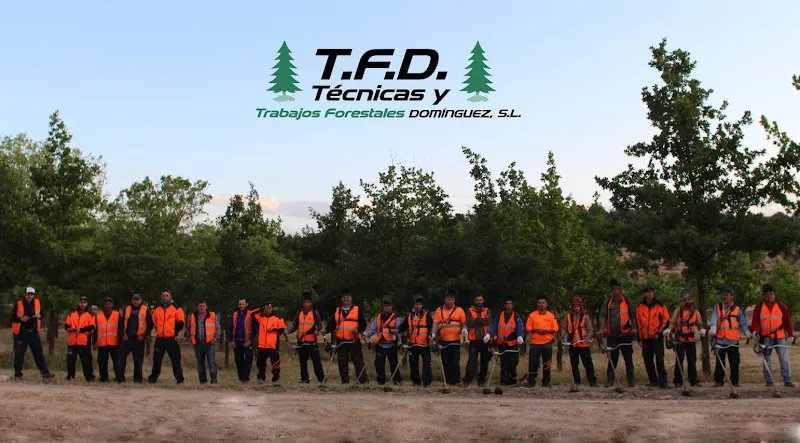 TTFD Técnicas Y Trabajos Forestales Domínguez - Servicios de mantenimiento arbóreo en Villamanta - foto 2