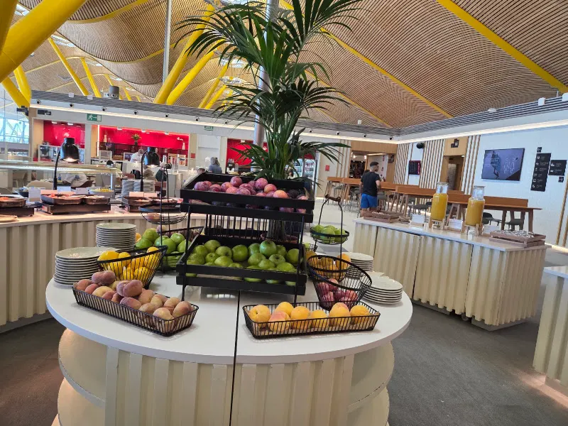 Iberia Premium Lounge Dalí