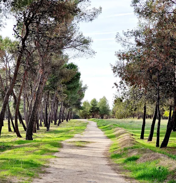 Parque de La Piovera