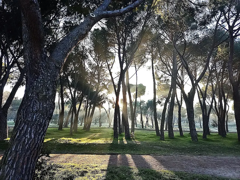 Casa de Campo - Madrid
