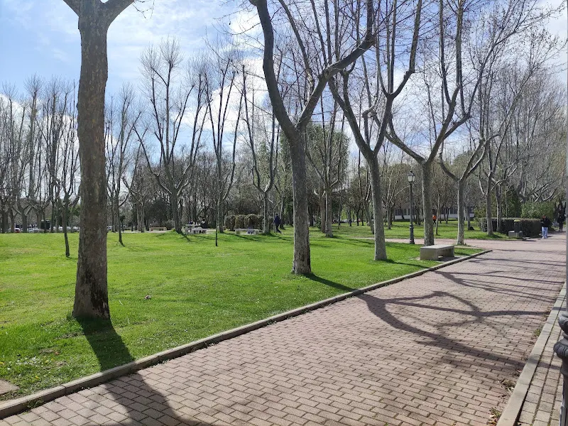 Universidad Autónoma de Madrid - Universidad pública en Madrid - foto 3