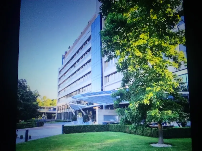 Castellana 35 - Oficinas de empresa en Madrid - foto 2