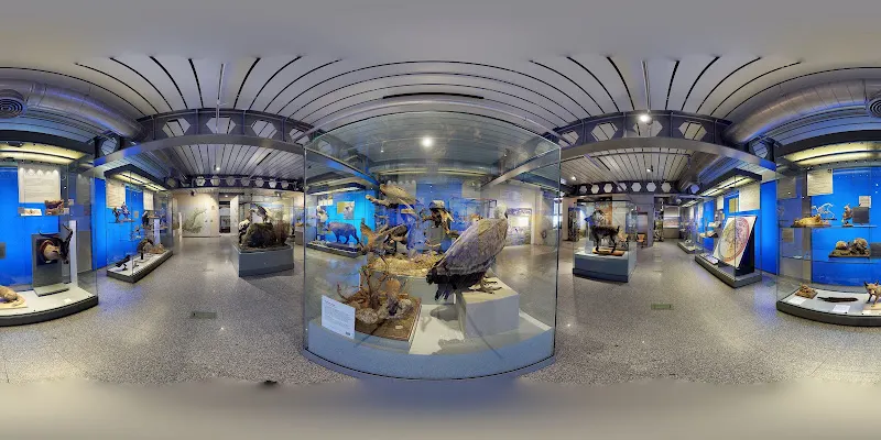 Museo Nacional de Ciencias Naturales (MNCN) - CSIC