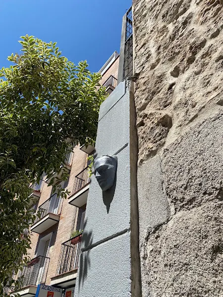 Academia Ceifas