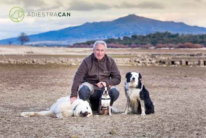 ADIESTRACAN | Adiestrador de perros - Adiestrador canino en Madrid - foto 2