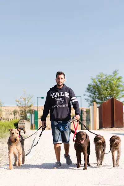 Dog & Life - Madrid