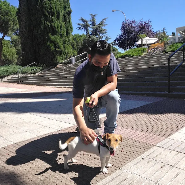 Lucky dog training - Adiestrador canino en Madrid - foto 2