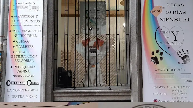 Guarderia ciudadano canino - Guardería canina en Madrid - foto 2