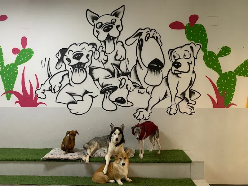 Huellas Amigas - Guardería canina en Madrid - foto 2