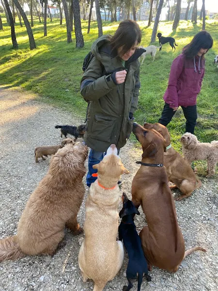 The Walking Dog