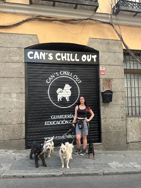Can's Chill Out