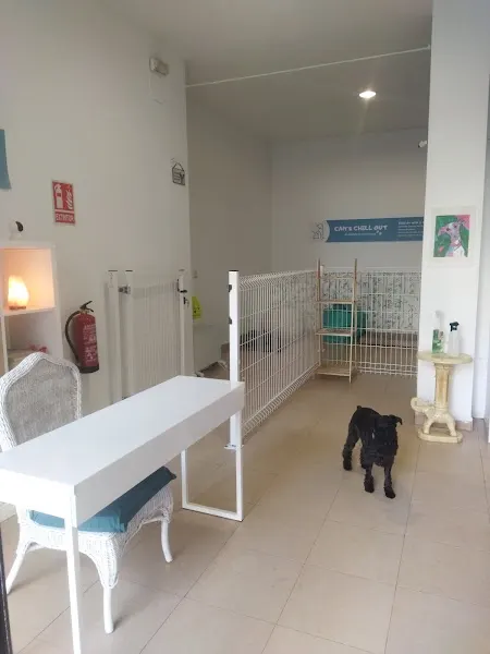 Can's Chill Out - Guardería canina en Madrid - foto 2