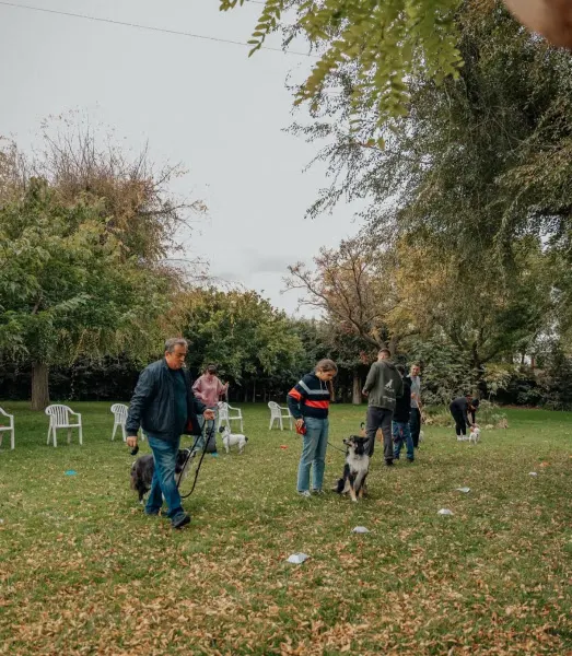 Adiestramiento canino - Adiestrador canino en Madrid - foto 2