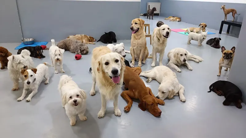 WagWag Retiro