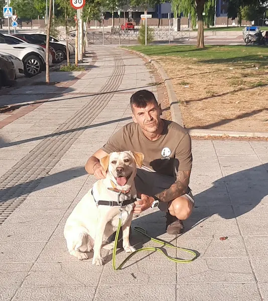 EDUCAN - Adiestrador canino en Madrid - foto 2