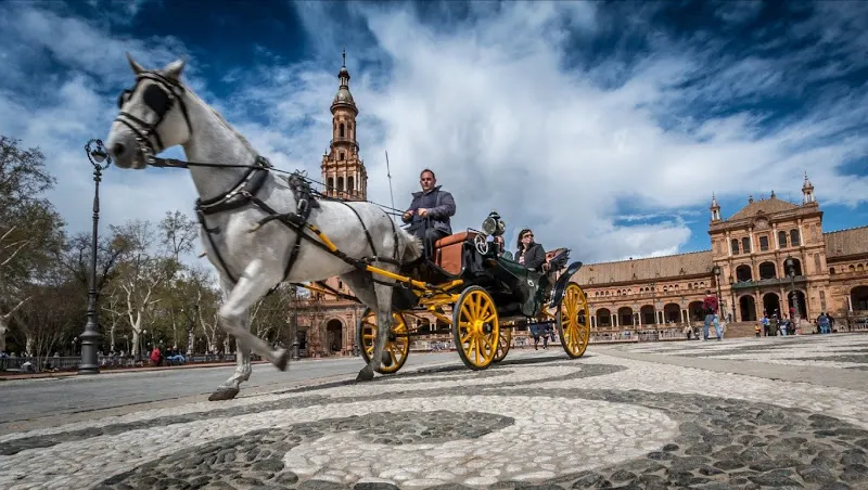 SensoryTur I Actividades para niños en Madrid - Madrid