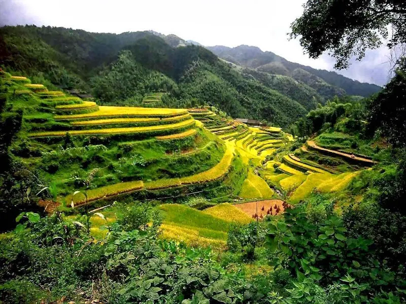 Viajes Gran China - 大中华旅行社