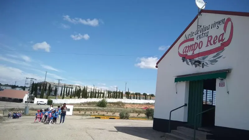 Aceites Torres S.l. - Almazara en Torres de la Alameda - foto 2