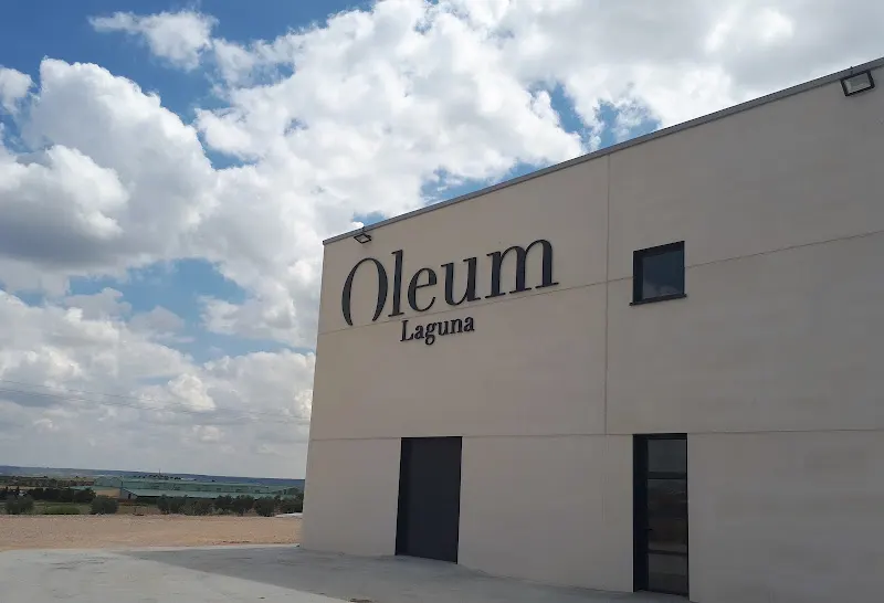 Oleum Laguna s.l. - Almazara en Villaconejos - foto 2