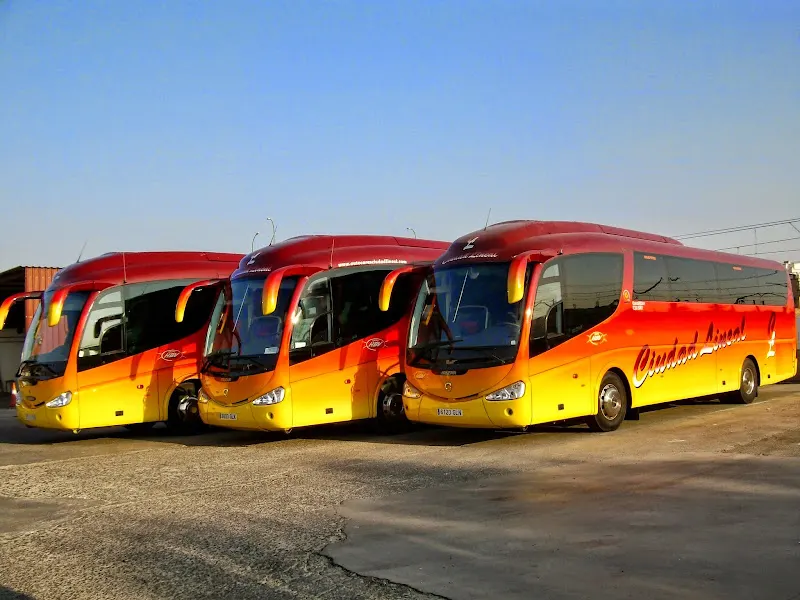 Autocares Ciudad Lineal - Empresa de autobuses en Madrid - foto 2