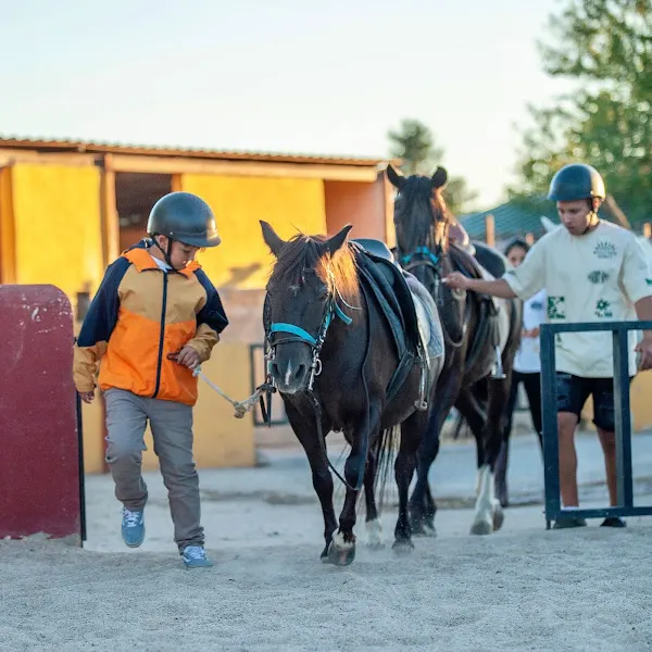 Multiaventuras Sierra Oeste - Centro de deportes de aventura en Pelayos de la Presa - foto 2