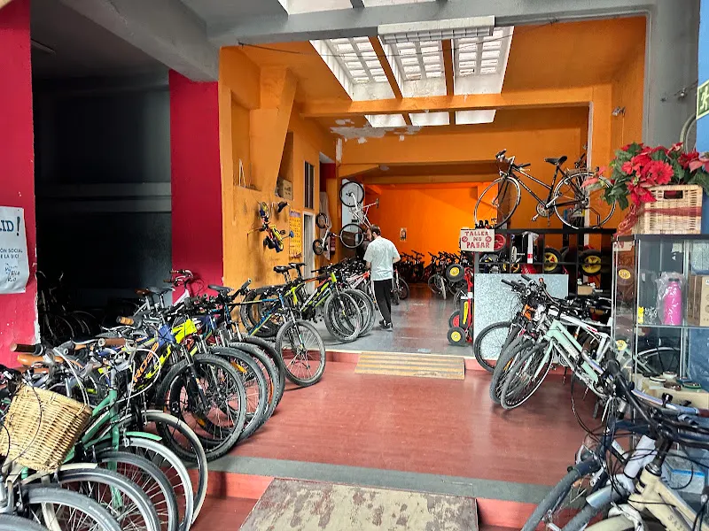 Mi Bike Río - Servicio de alquiler de bicicletas en Madrid - foto 2