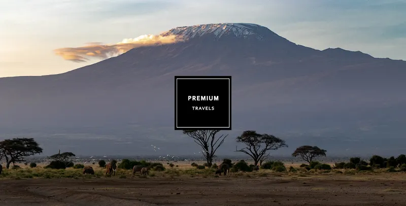 PREMIUM TRAVELS - Agencia de viajes en Madrid - foto 2