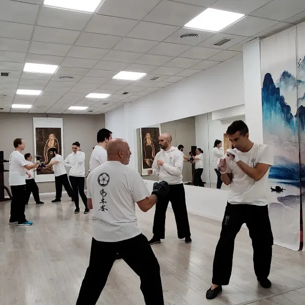 Escuela Wing Chun Dao Madrid