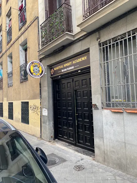 Martial Spirit Academy - Escuela de artes marciales en Madrid - foto 3