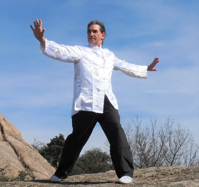 Escuela de Qi Gong- Janú Ruiz - Escuela de taichí en Madrid - foto 2