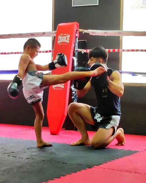 Muay Thai Madrid - Madrid