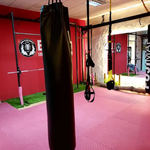 El Dojo Madrid, Escuela de artes marciales - Madrid