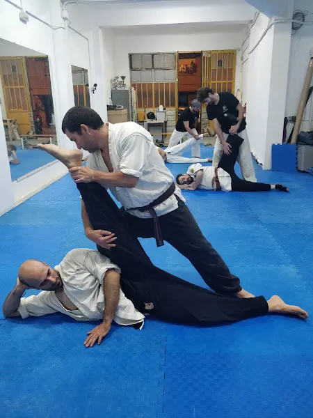 Club Deportivo Tsunami - Escuela de artes marciales en Madrid - foto 2