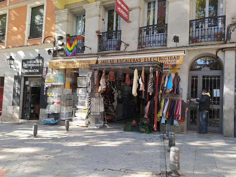 Tienda Hípica David - Madrid