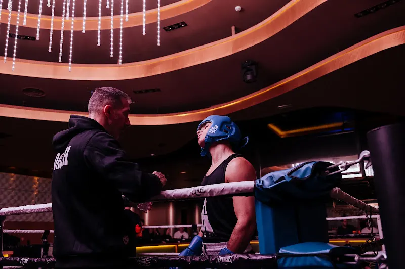 Clases particulares de boxeo a domicilio / en el Retiro