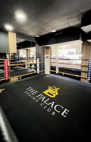 The Palace Boxing Club - Gimnasio en Madrid - foto 2