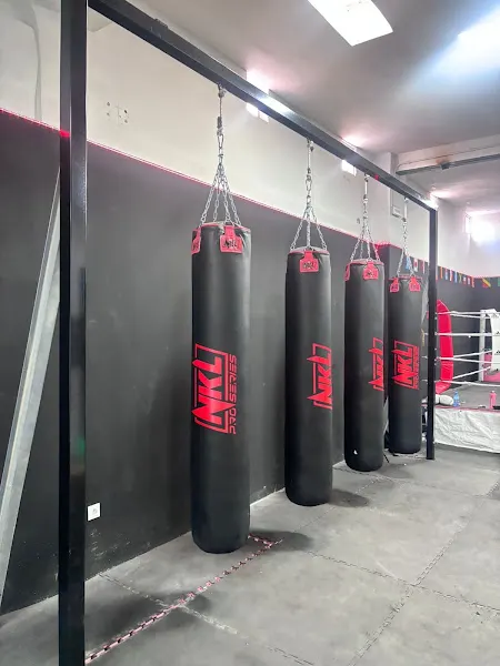 AUREO BOXING