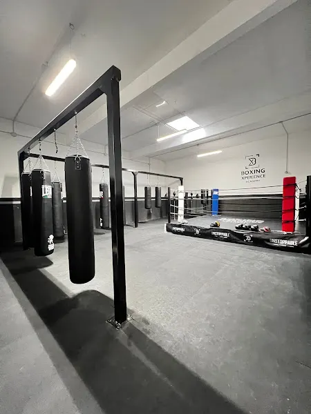Boxing Xperience Academy - Escuela de boxeo en Madrid - foto 2