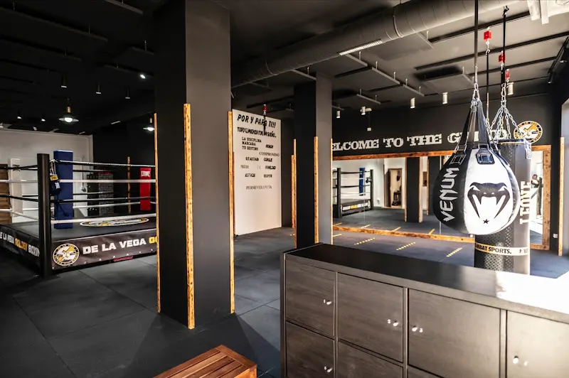 De La Vega Golden Boxing