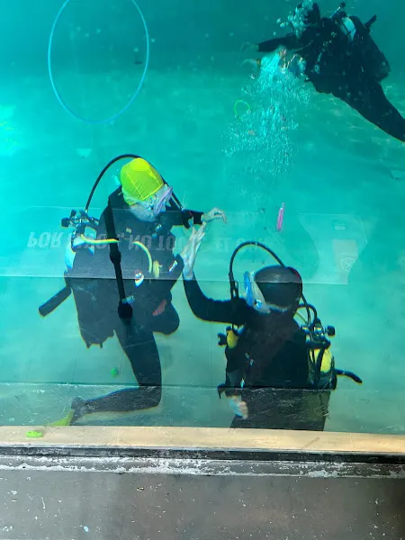 Yo Buceo | Buceo en Madrid