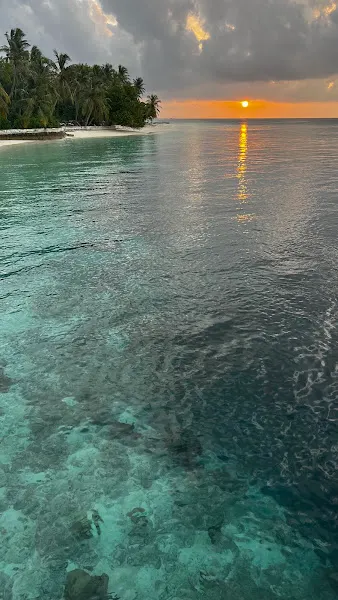 Top Dive Travel