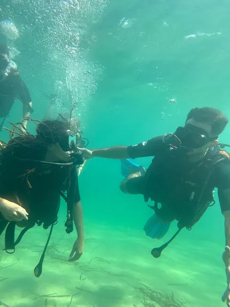 La Perla Negra Dive