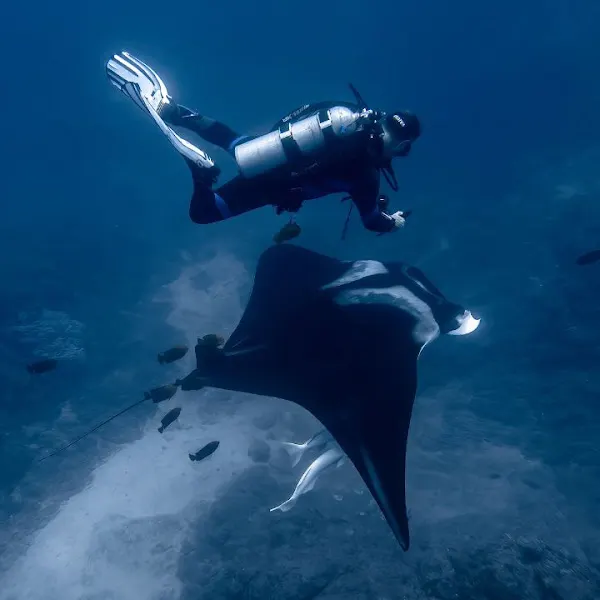 Karlos Simón - Viajes de Buceo